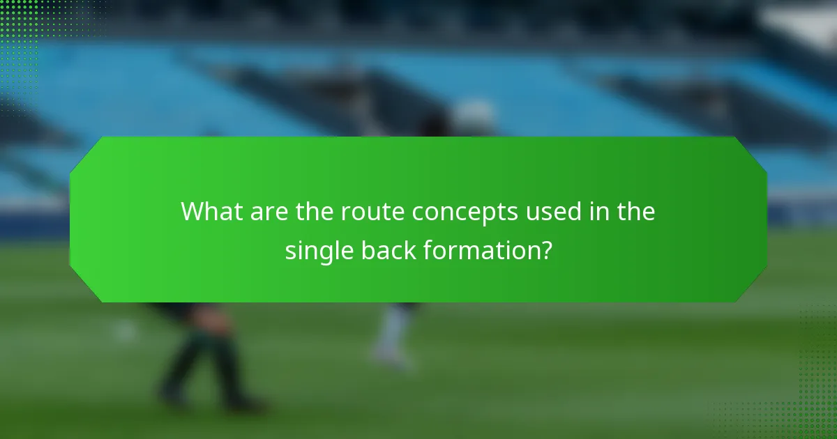 What are the route concepts used in the single back formation?