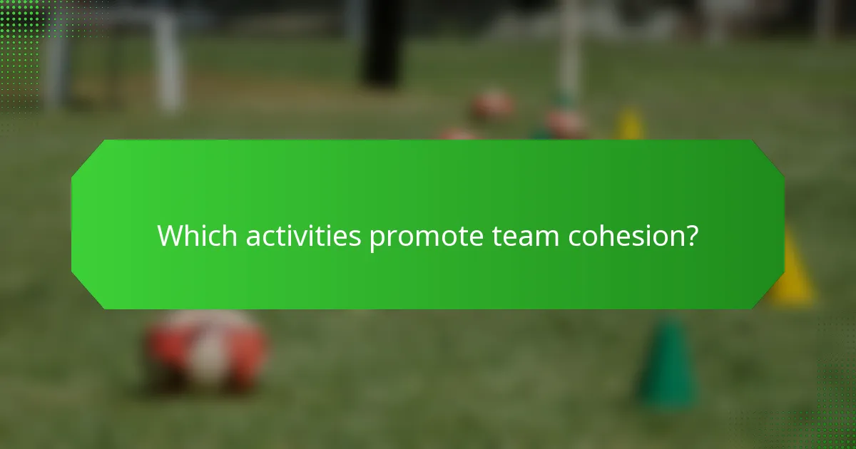 Which activities promote team cohesion?